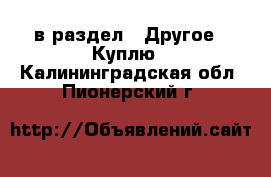  в раздел : Другое » Куплю . Калининградская обл.,Пионерский г.